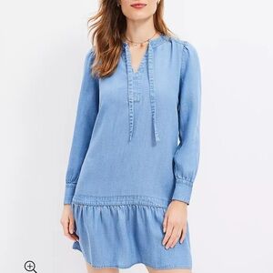 NWT Loft Chambray Tie Neck Flounce Swing Dress
